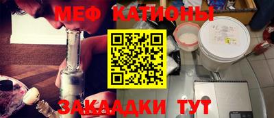 индика Кингисепп