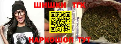 индика Кингисепп