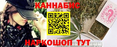 индика Кингисепп