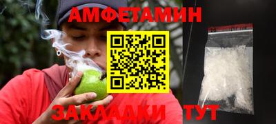 индика Кингисепп