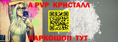 индика Кингисепп